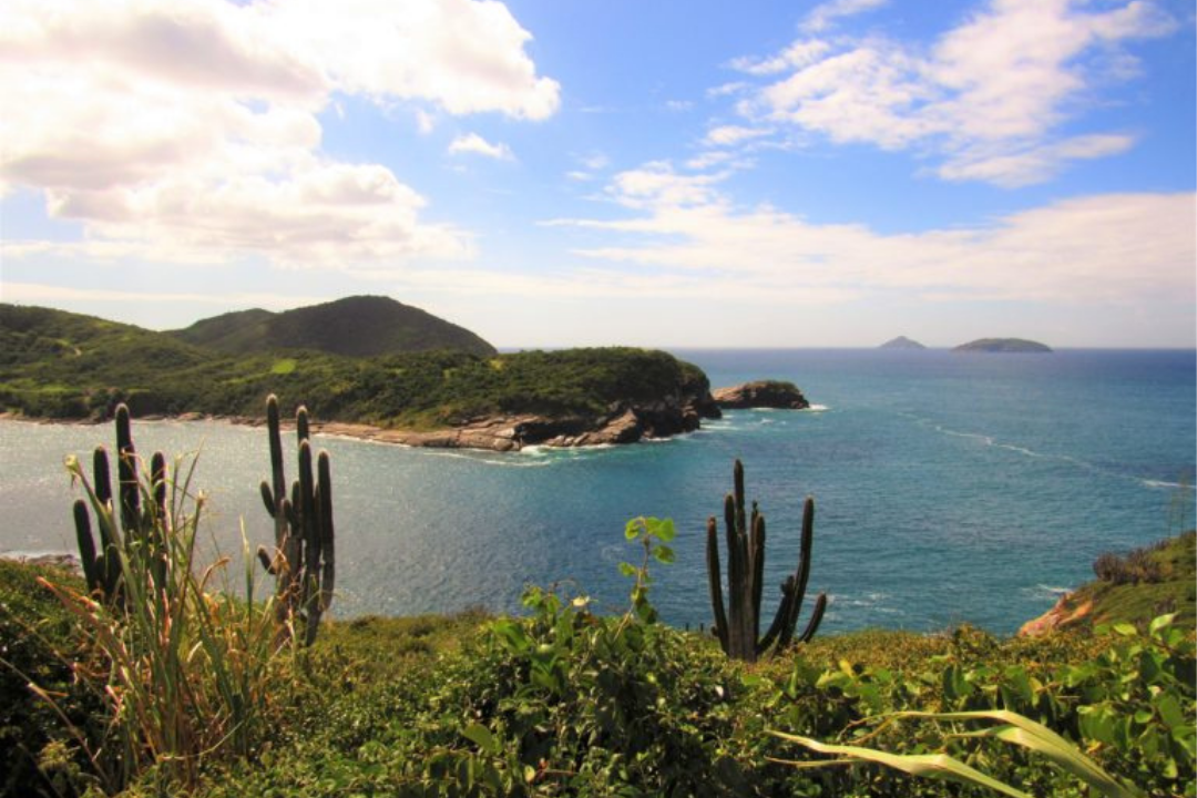 Mirante do Forno com vegetação na frente, incluindo cactos em destaque. Ao fundo, o mar e mais um morro com vegetação.