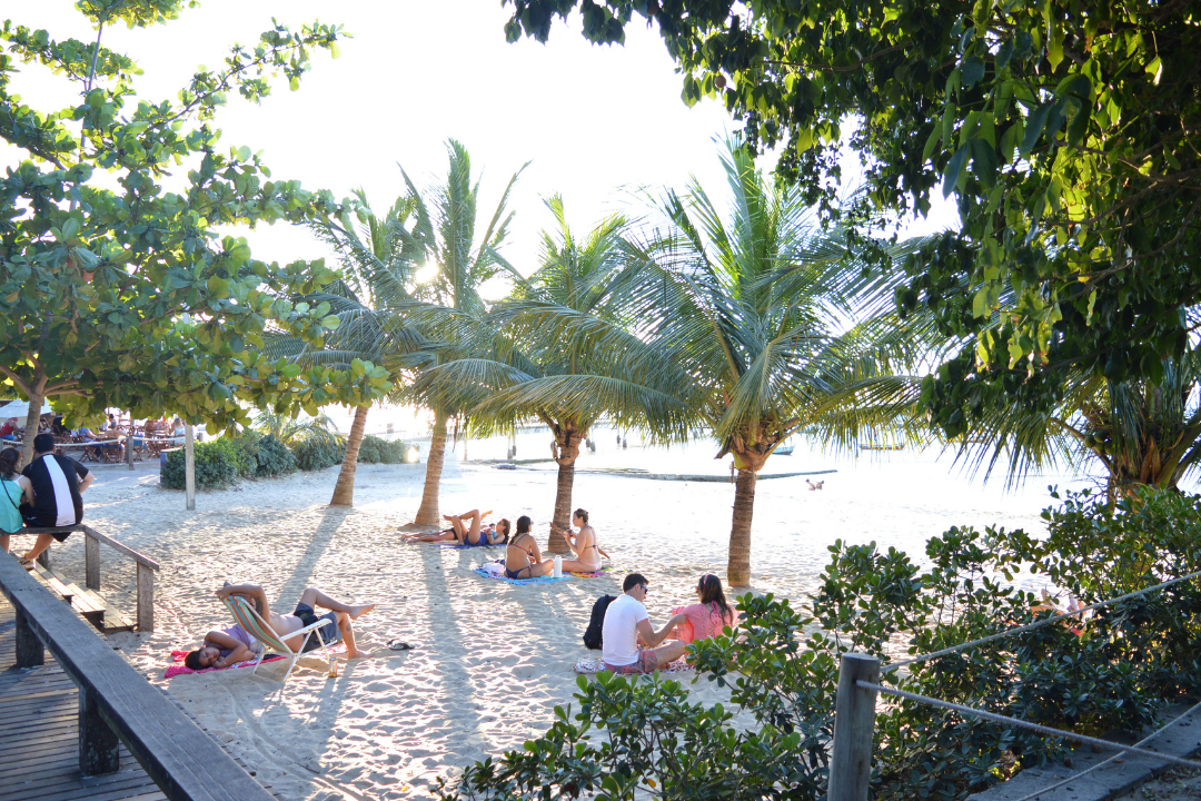 Porto da Barra. Pequena faixa de areia é preenchida por turistas sentados em cadeiras de praia e toalhas. Há palmeiras na areia e outras árvores ao redor.