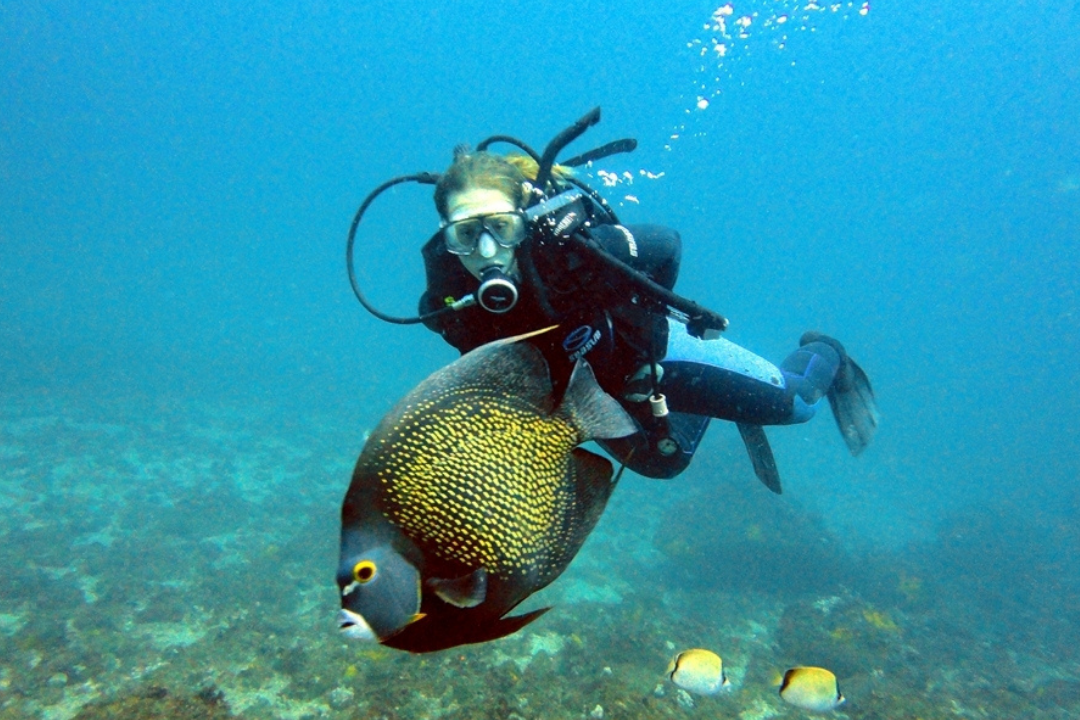 Mergulhador ao lado de peixes no mar de Arraial do Cabo. A diversidade marinha é um dos pontos principais da cidade, que fazem Arraial ser chamada de caribe brasileiro.