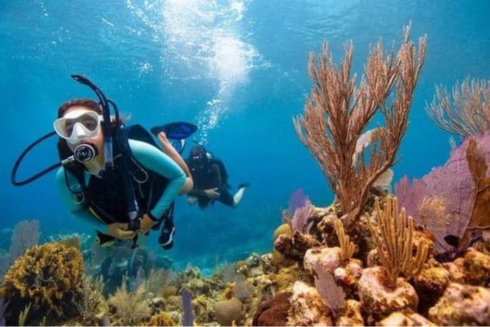 Mergulho com corais em águas cristalinas